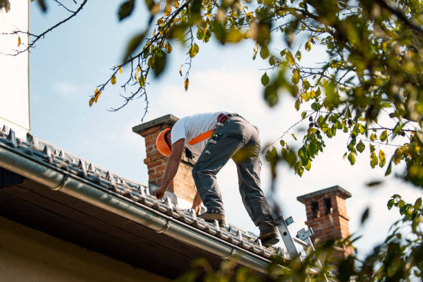 Roof Gutter Cleaning in Sherman, IL
